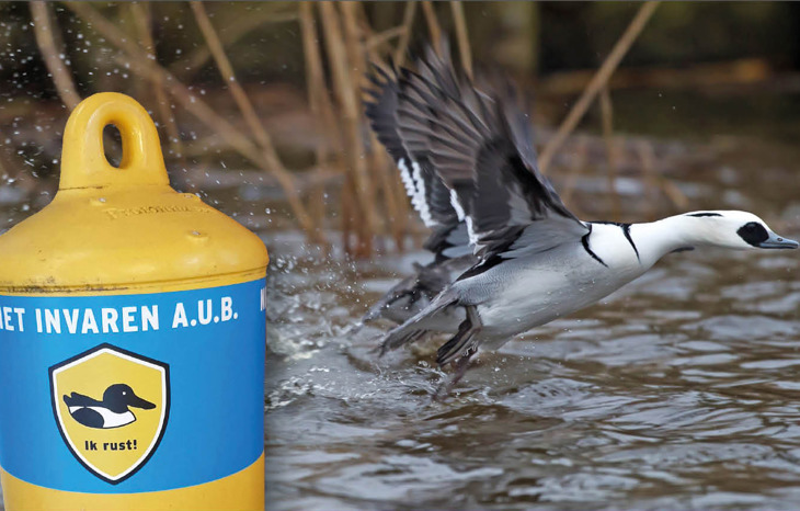 Advertentiefoto Vogelrustgebieden